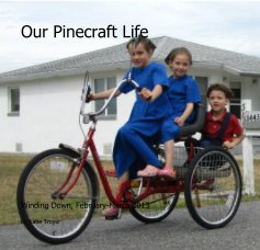 Our Pinecraft Life book cover