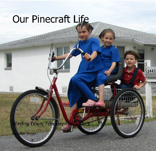 View Our Pinecraft Life by Katie Troyer