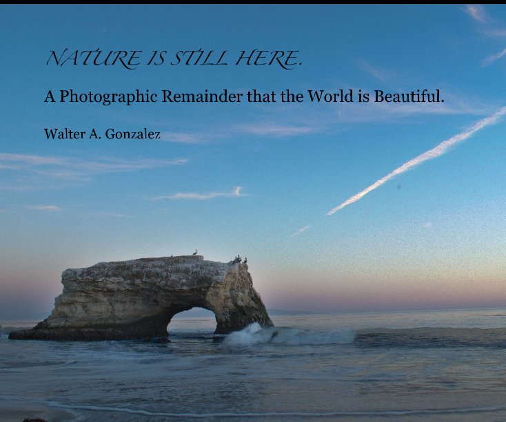 View NATURE IS STILL HERE. by Walter A. Gonzalez