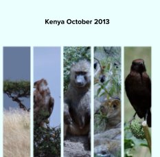 Kenya October 2013 book cover
