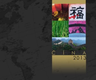 Cina 2013 book cover