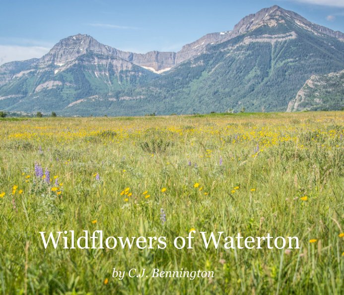 Ver Wildflowers of Waterton por C J Bennington