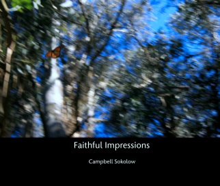 Faithful Impressions book cover