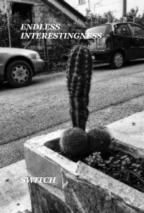 ENDLESS INTERESTINGNESS book cover