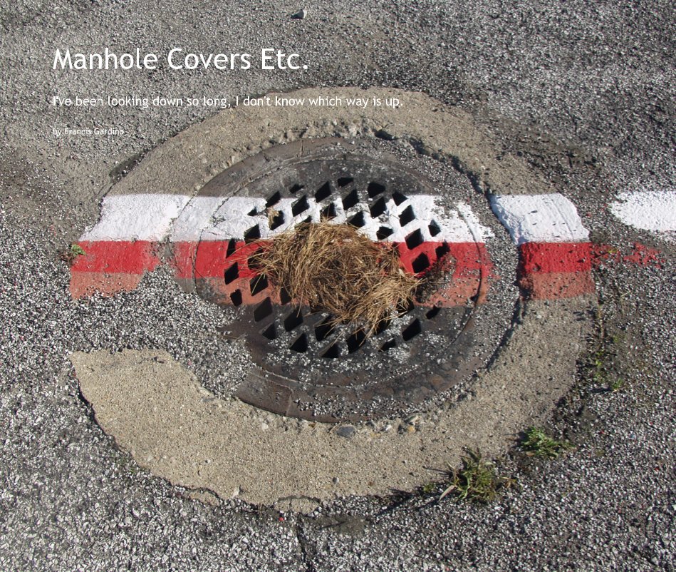 View Manhole Covers Etc. by Francis Gardino
