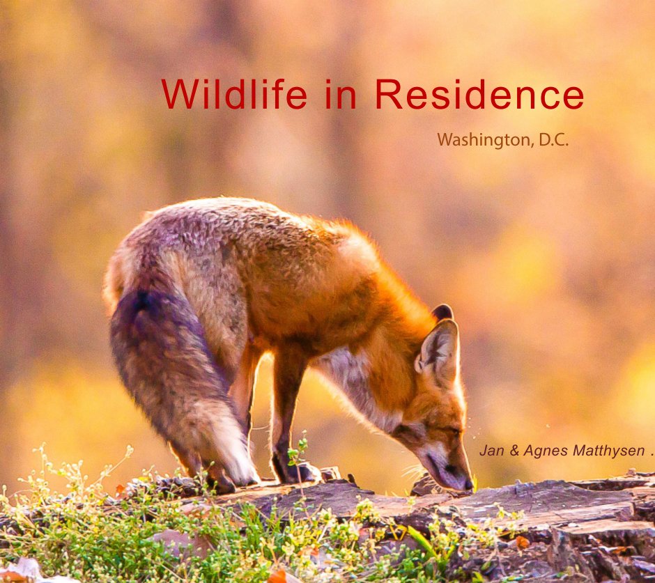 View Wildlife in Residence by Agnes & Jan Matthysen
