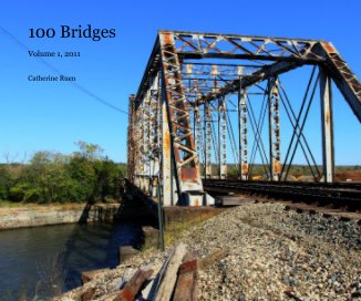 100 Bridges book cover