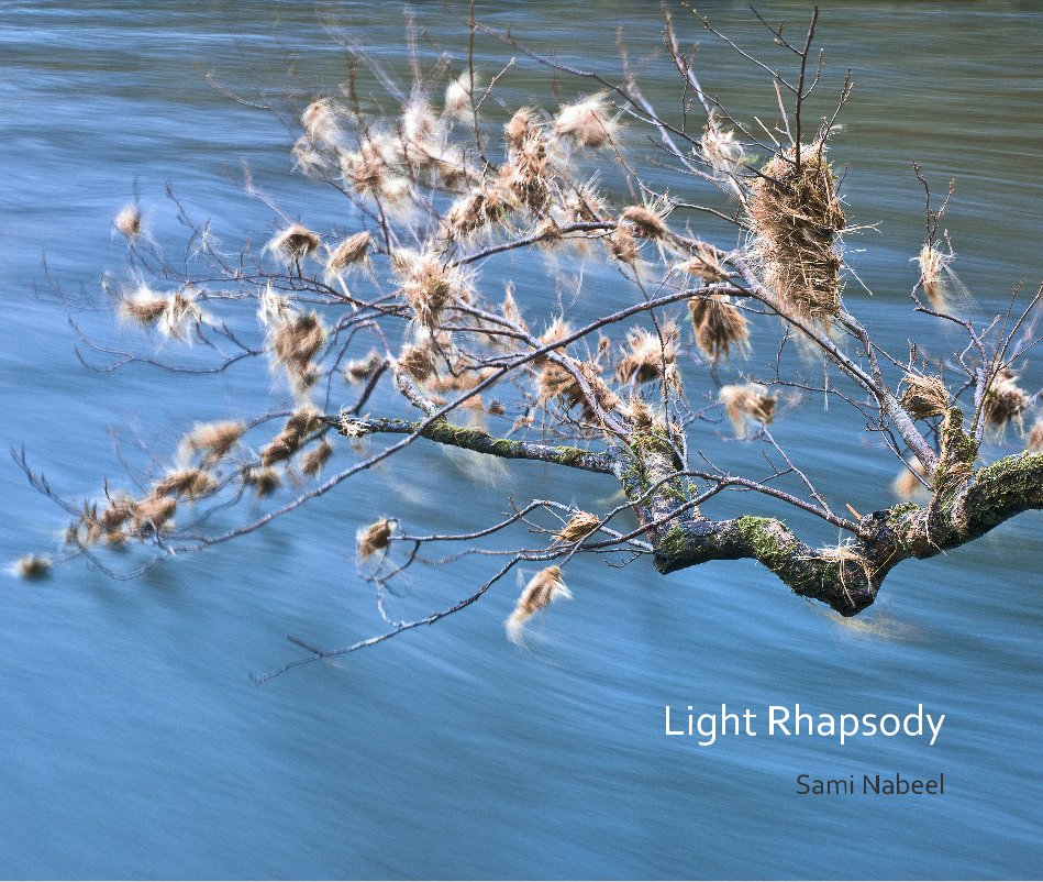 View Light Rhapsody by Sami Nabeel