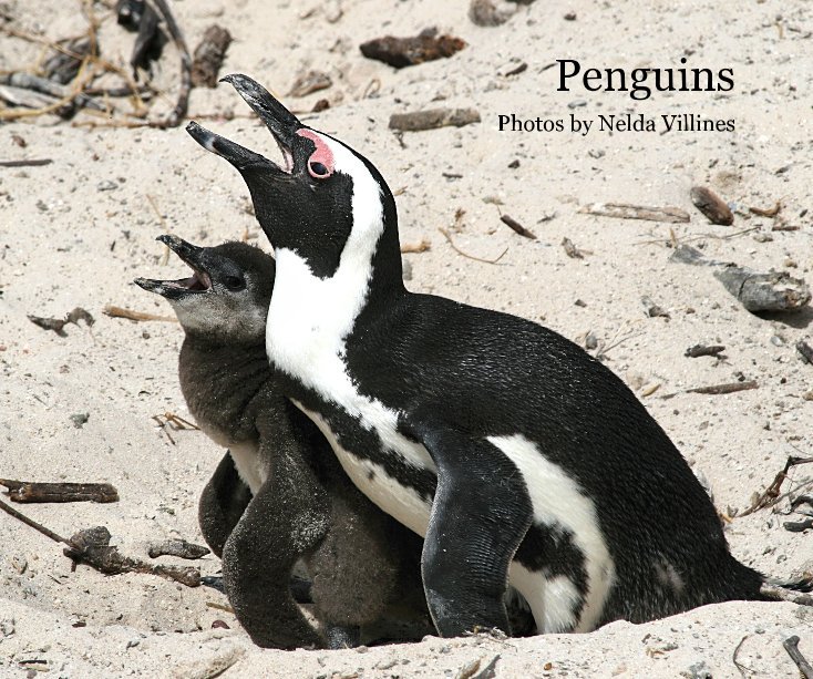View Penguins by Nelda Villines