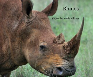 Rhinos book cover