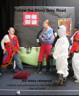 Follow the Slimy Grey Road book cover