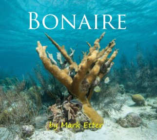 Bonaire 2013 book cover
