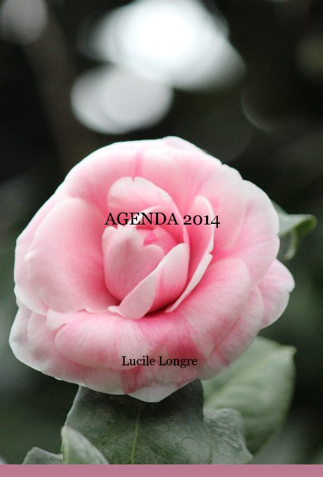 Ver AGENDA 2014 por Lucile Longre