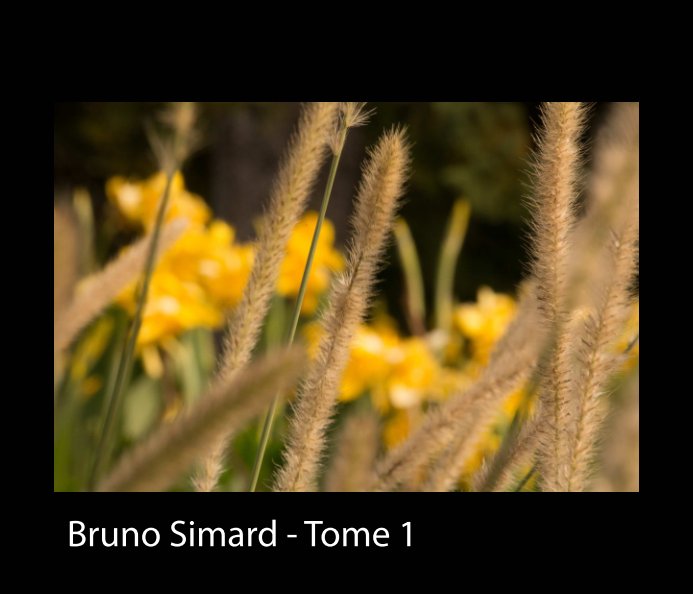 View Portfolio by Bruno Simard