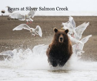 Bears at Silver Salmon Creek book cover