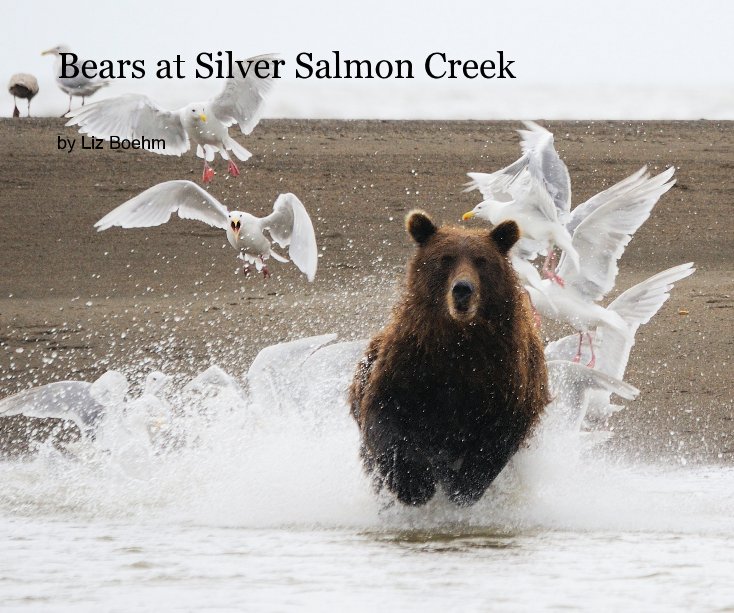 View Bears at Silver Salmon Creek by Liz Boehm