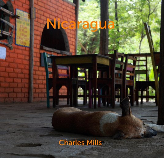 View Nicaragua by Charles Mills