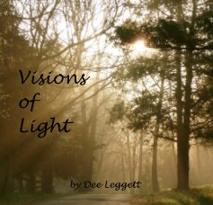 Visions of Light book cover