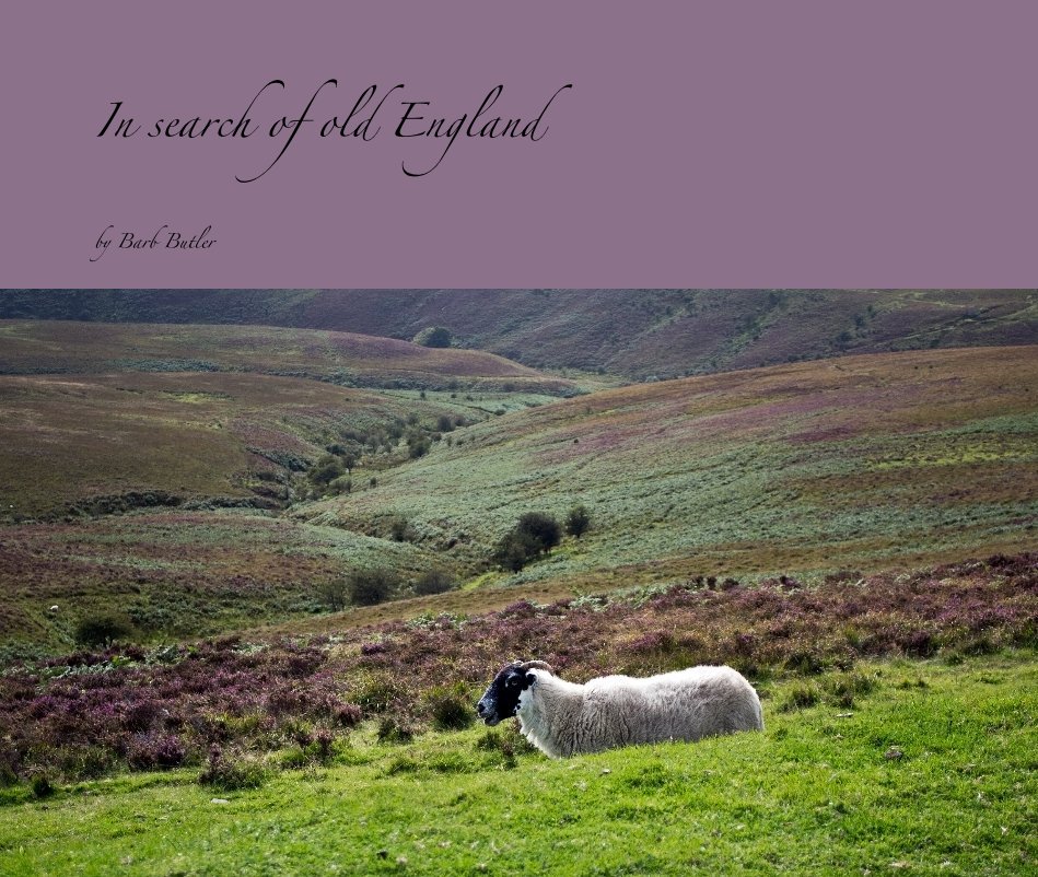 View In search of old England by Barb Butler