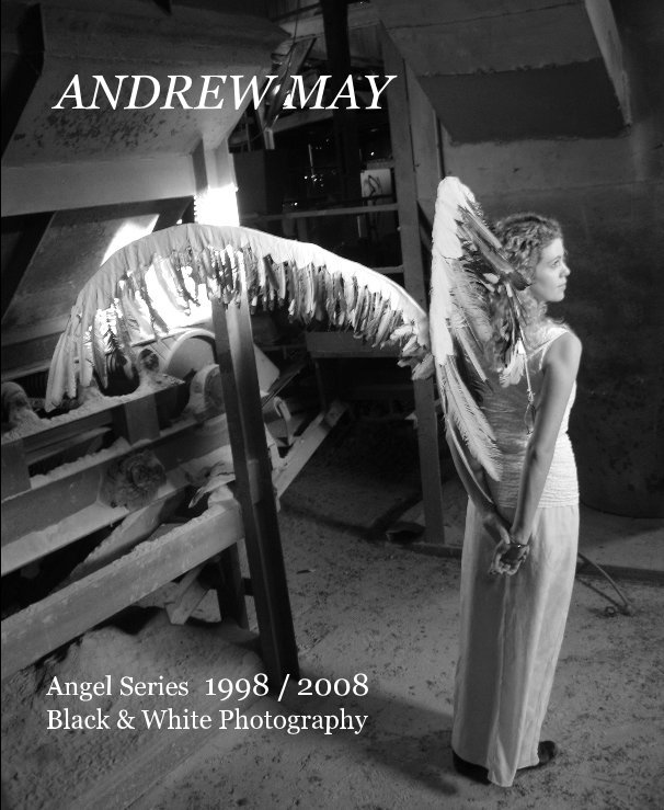 View Angel Series 1998 / 2008 by ANDREW MAY