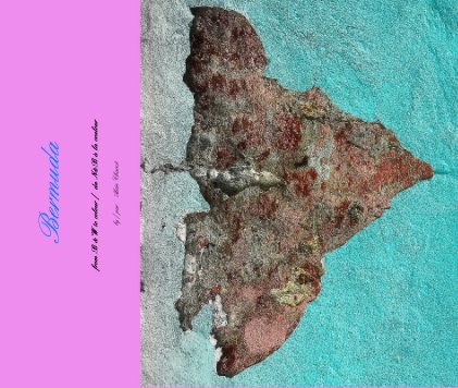 Bermuda book cover