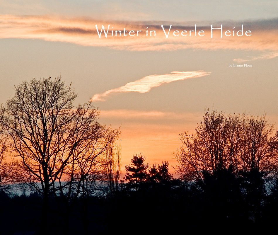 Ver Winter in Veerle Heide por Bruno Flour