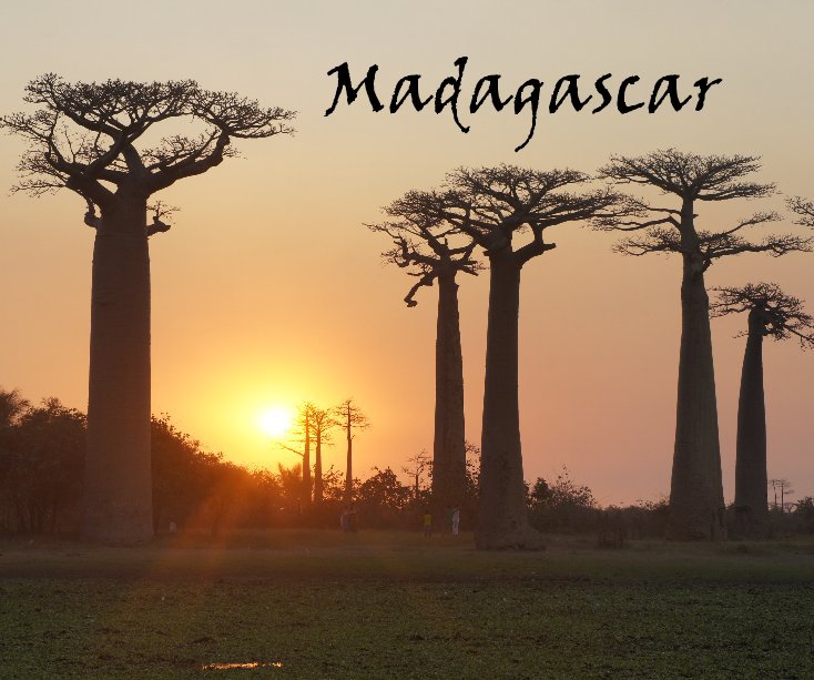 Bekijk Madagascar op annasp