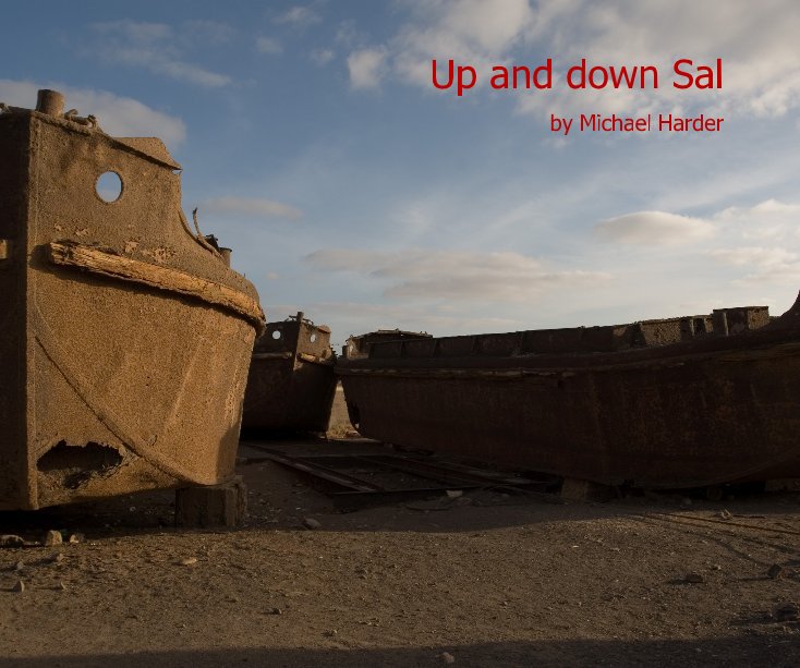 View Up and down Sal by Michael Harder