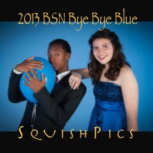2013 Bye Bye Blue - Small Softcover book cover