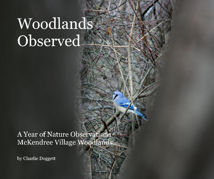 View woodlands observed 3 by Charlie Doggett