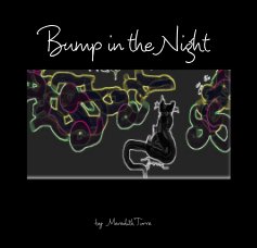 Bump in the Night book cover