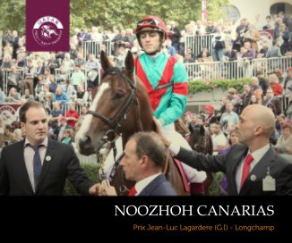 NOOZHOH CANARIAS book cover
