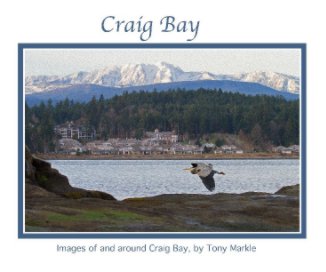Craig Bay book cover