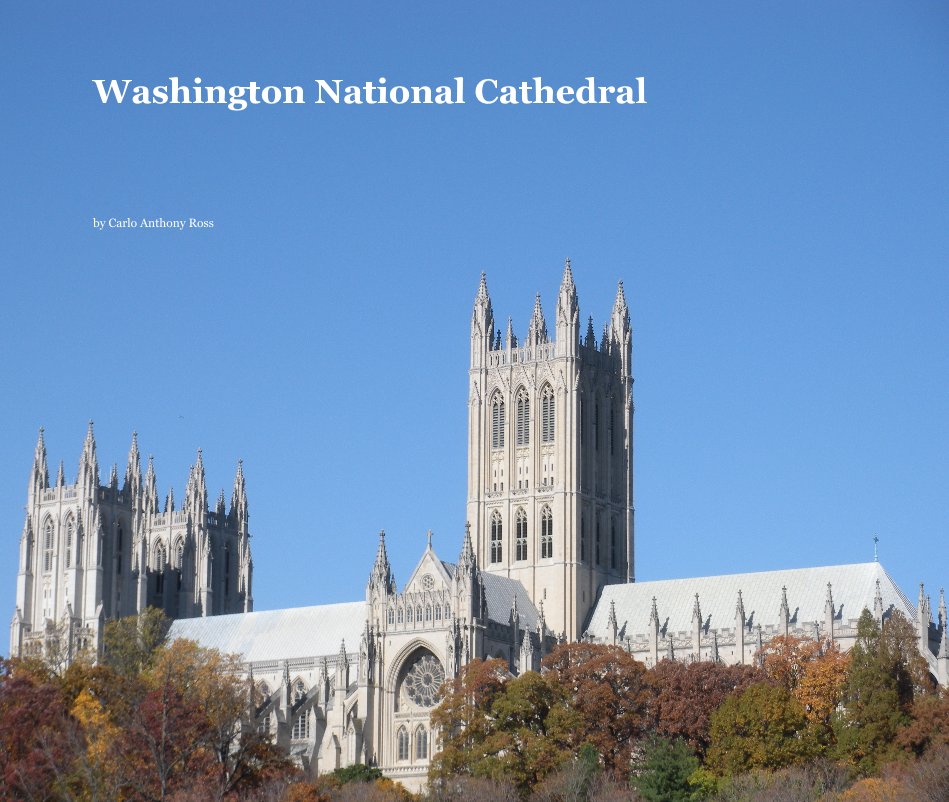 View Washington National Cathedral by Carlo Anthony Ross
