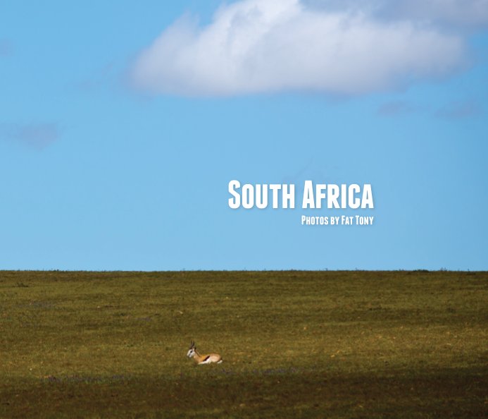 View South Africa by Fat Tony