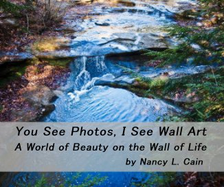 You See Photos, I See Wall Art A World of Beauty on the Wall of Life by Nancy L. Cain book cover