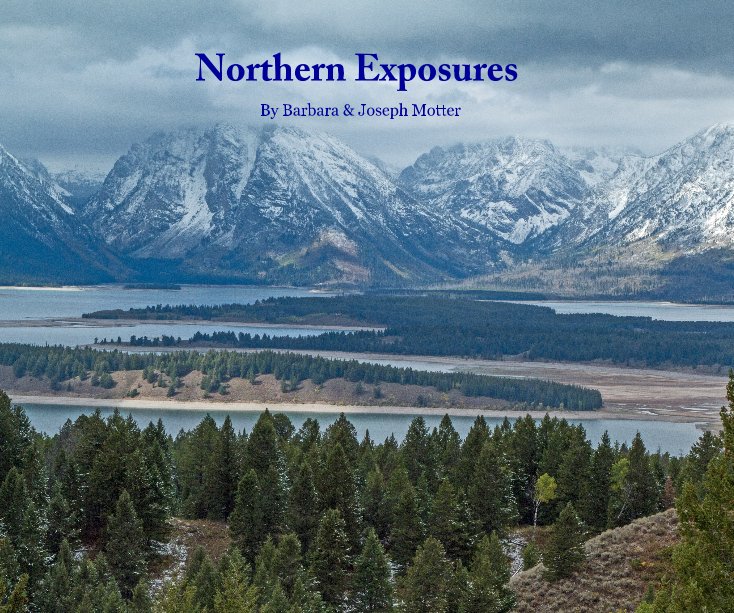 Visualizza Northern Exposures di Barbara Motter