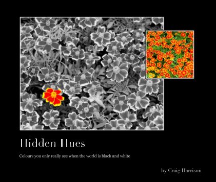Hidden Hues book cover
