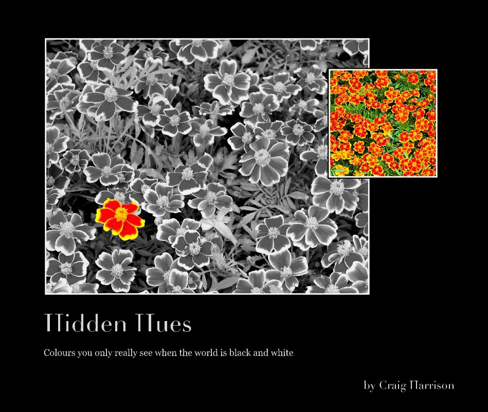 View Hidden Hues by Craig Harrison