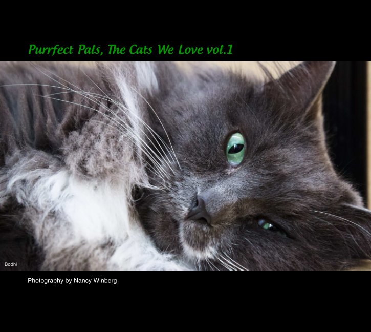 View Purrfect Pals, The Cats We Love Vol.1 by Nancy Winberg