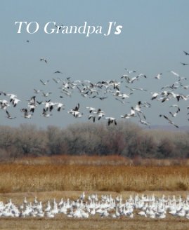 TO Grandpa J's book cover