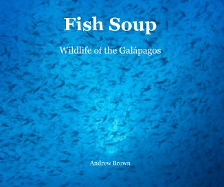 Fish Soup book cover
