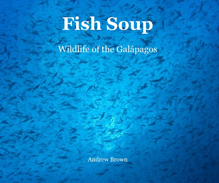 View Fish Soup by Andrew Brown