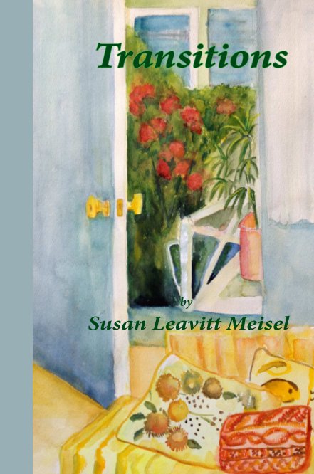 View Transitions (Softcover) by Susan Leavitt Meisel