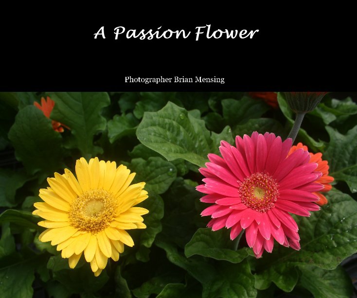Ver A Passion Flower por Photographer Brian Mensing