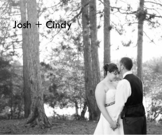 Josh + Cindy book cover