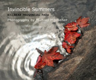 Invincible Summers book cover
