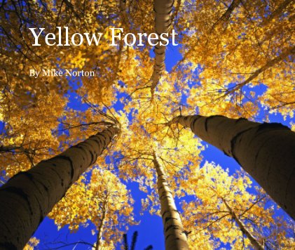 Yellow Forest book cover