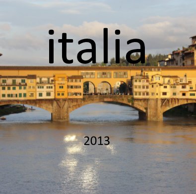 italia 2013 book cover