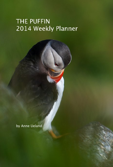 Ver THE PUFFIN 2014 Weekly Planner por Anne Ueland